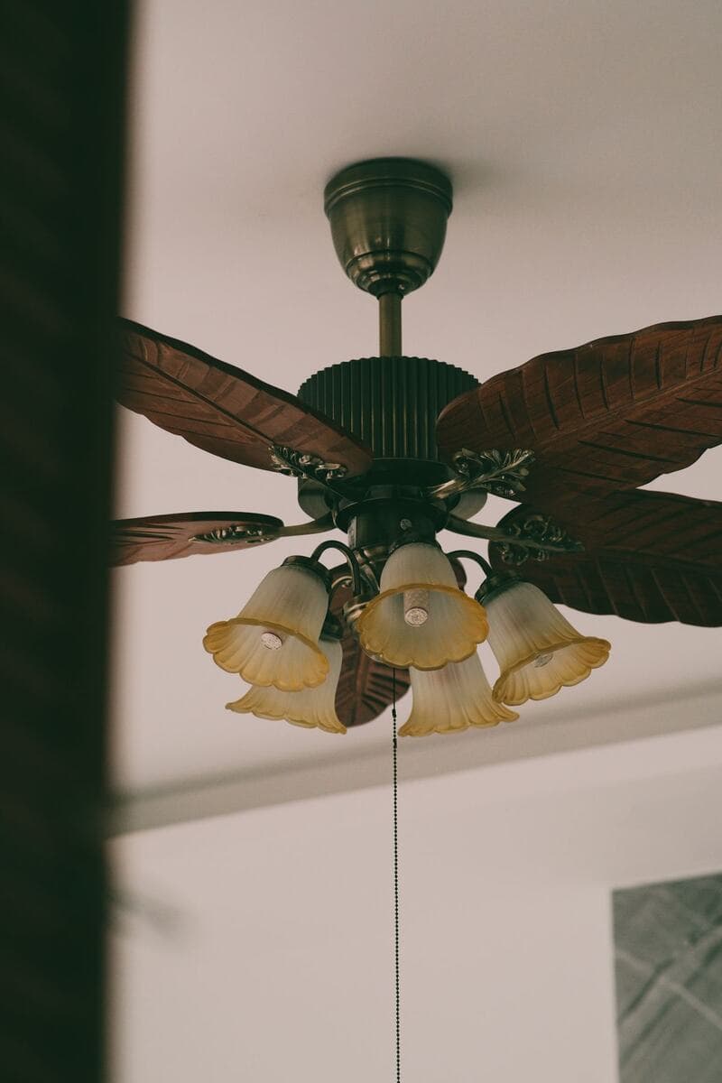 Solar BLDC Fan