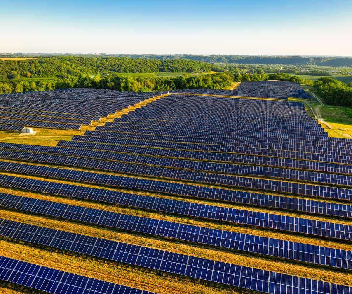 Solar panel array